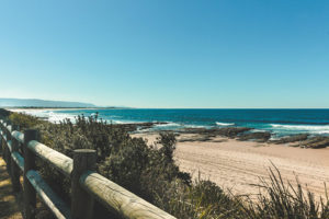 Photo by Matthew Barra from Canva