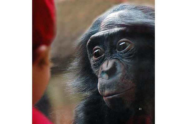 The Boy in Red - Photo by Marian Brickner
