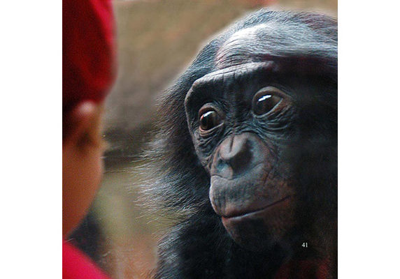 The Boy in Red - Photo by Marian Brickner
